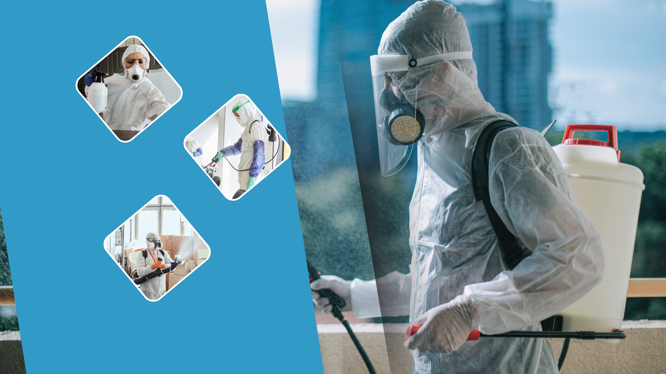 Keep Your Workplace Healthy: A Simple Guide to Preventing Cross-Contamination